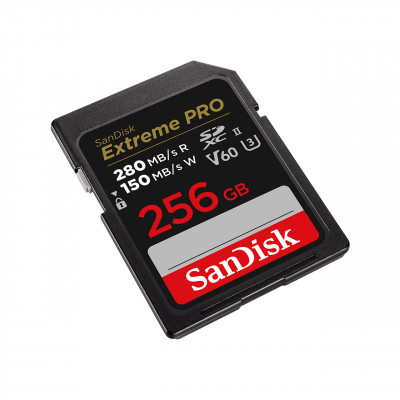 SanDisk SDSDXEP-256G-GN4IN flashgeheugen 256 GB SDXC UHS-II Klasse 10