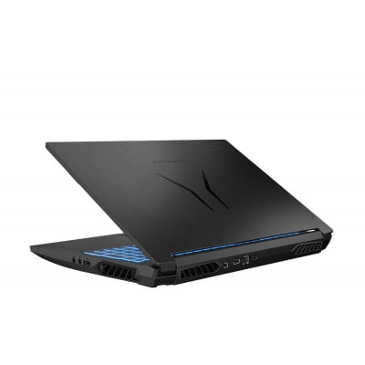 ERAZER Deputy P25 Laptop 39.6 cm (15.6") Full HD AMD Ryzen™ 7 5800H 16 GB DDR4-SDRAM 512 GB SSD NVIDIA GeForce RTX 3060 Wi-Fi 6 (802.11ax) Windows 11 Home Black