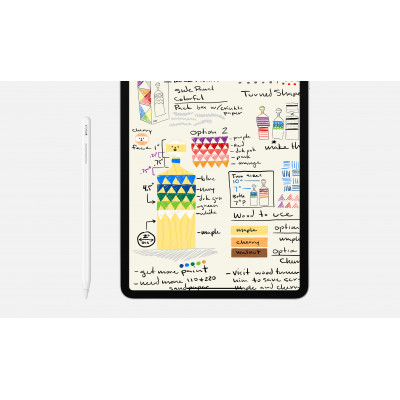 Apple iPad Pro 12.9 Wf Cl 1T Gry