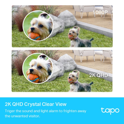 TP-Link Tapo C420S1 CCTV security camera Indoor & outdoor 2560 x 1440 pixels