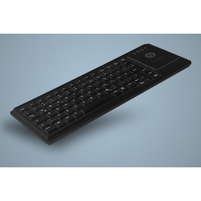 Active Key AK-4400-T keyboard USB UK English Black