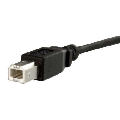 StarTech.com USBPNLBFBM1 câble USB 0,3 m USB 2.0 USB B Noir