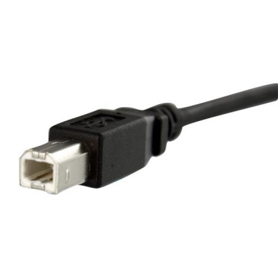 StarTech.com USBPNLBFBM3 câble USB 0,91 m USB 2.0 USB B Noir