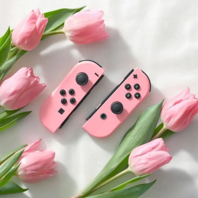 Nintendo Switch Joy-Con Paar Pastel Roze