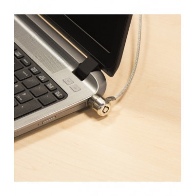 Eminent Laptop lock with Key Length:1.50m