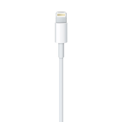 Apple Lightning To USB Cable 1 M