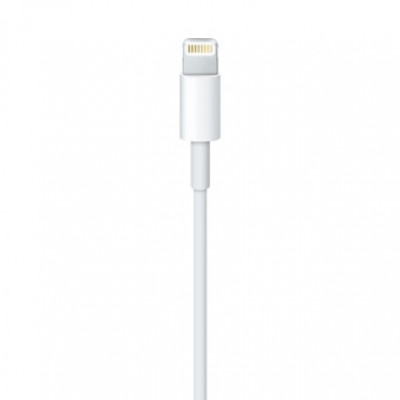 Apple Lightning To USB Cable 0.5 M