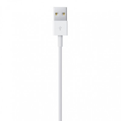 Apple Lightning To USB Cable 0.5 M
