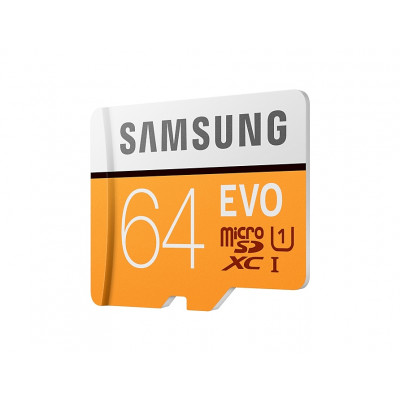 Samsung EVO 64 GB