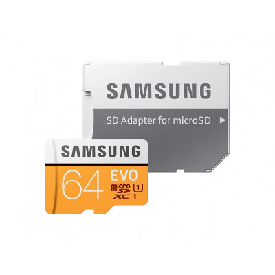 Samsung EVO 64 GB