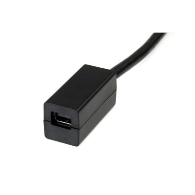 StarTech DisplayPort to Mini DisplayPort Adapter