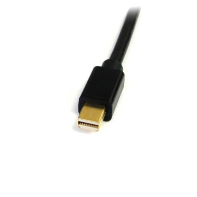 StarTech 6 ft Mini DisplayPort to DVI Cable - M&#47;M