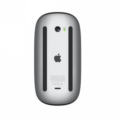 Apple Magic Mouse -Int