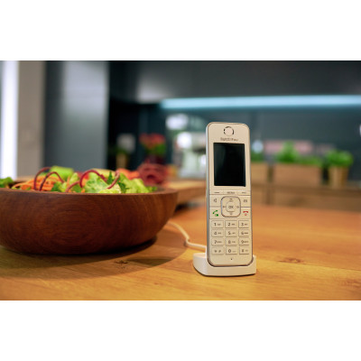 FRITZ!Fon C6 International Téléphone DECT Identification de l'appelant Blanc