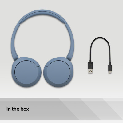 Sony WH-CH520 Casque Sans fil Arceau Appels/Musique USB Type-C Bluetooth Bleu