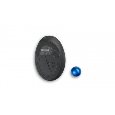 Kensington Pro Fit Ergo TB450 muis Rechtshandig RF-draadloos + Bluetooth Trackball 1600 DPI