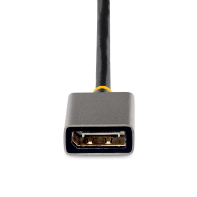 StarTech.com 128-HDMI-DISPLAYPORT video kabel adapter 0,3 m HDMI Type A (Standaard) Zwart, Grijs