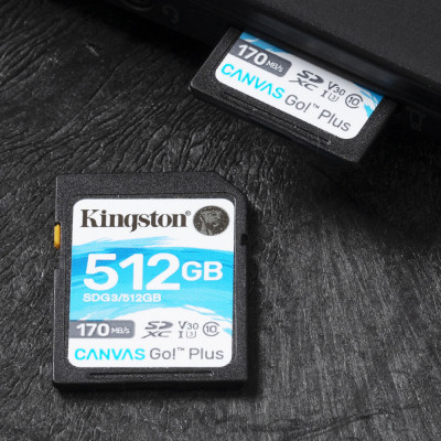 Kingston Technology Canvas Go! Plus 512 GB SD UHS-I Klasse 10