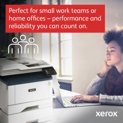 Xerox B315 Mono MFP 40ppm 4in1 2500py