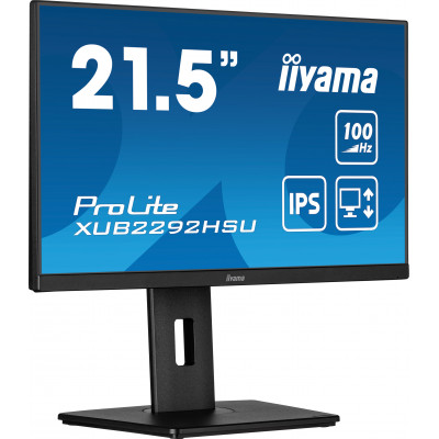 Iiyama 22iW LCD Business Full HD IPS