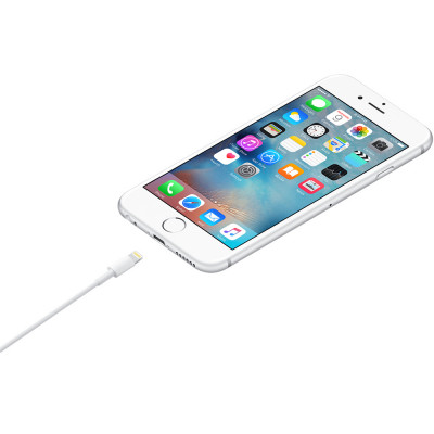 Apple Lightning To USB Cable 1 M