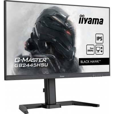 Iiyama 24iW LCD Full HD Business/Gaming IPS 100Hz