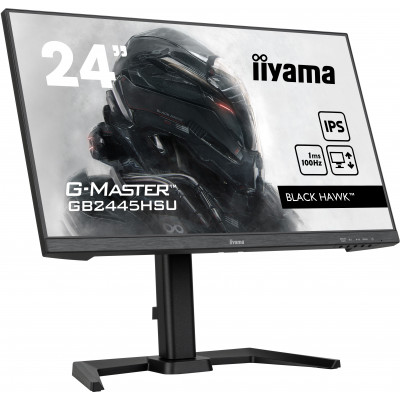 Iiyama 24iW LCD Full HD Business/Gaming IPS 100Hz